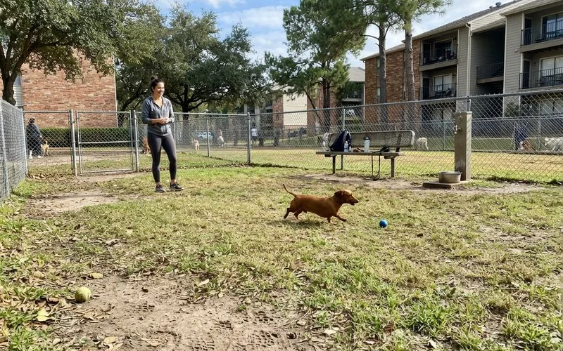 A resident walks a medium-sized dog past a fenced dog park area inside an apartment community